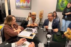 Reuniao-com-senadores-4